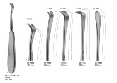 Rib Raspatories